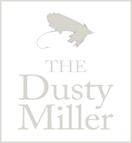 Dusty Miller Harlow
